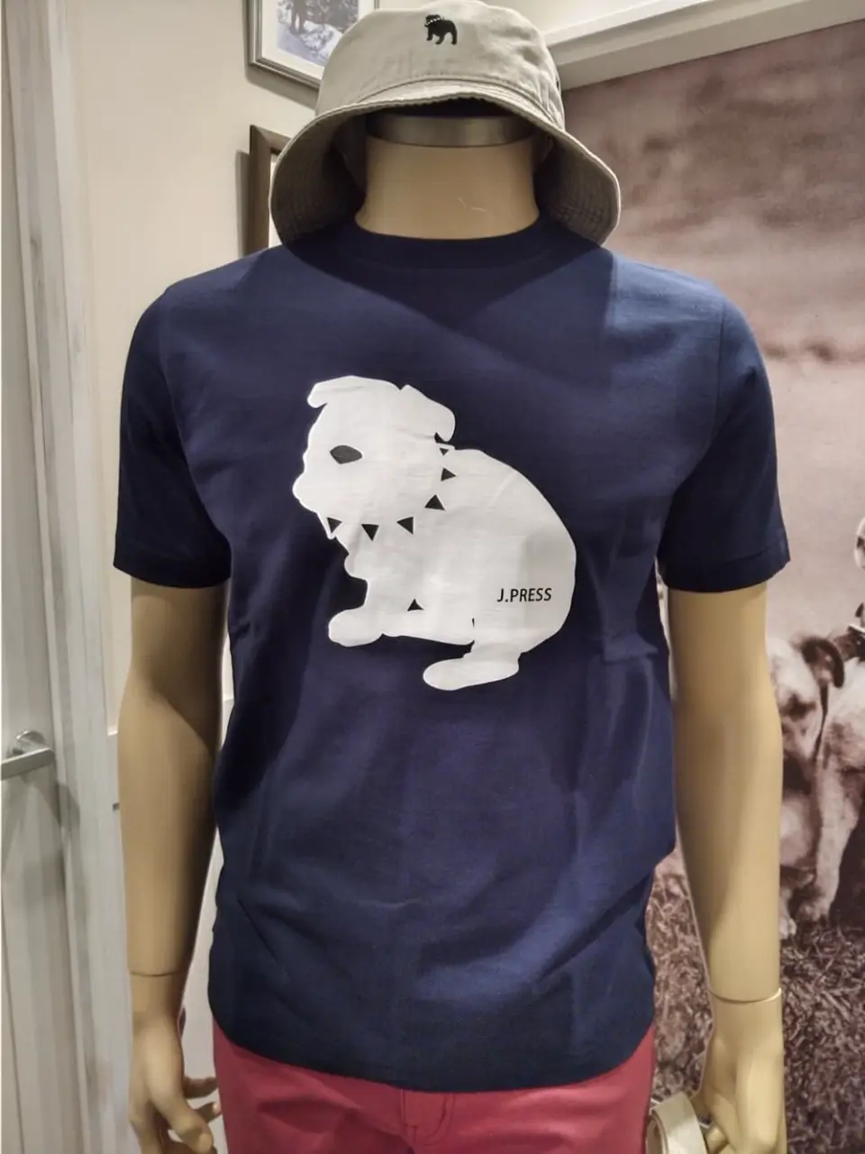 J.PRESS MEN 渡瀬 コーディネート画像