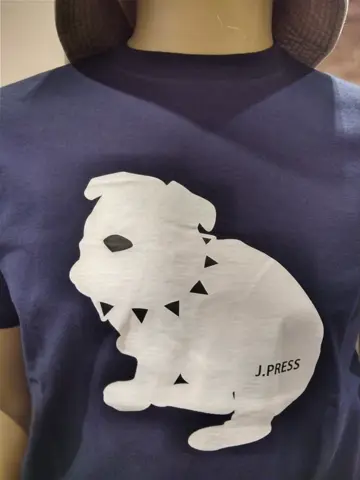 J.PRESS MEN 渡瀬 コーディネート画像