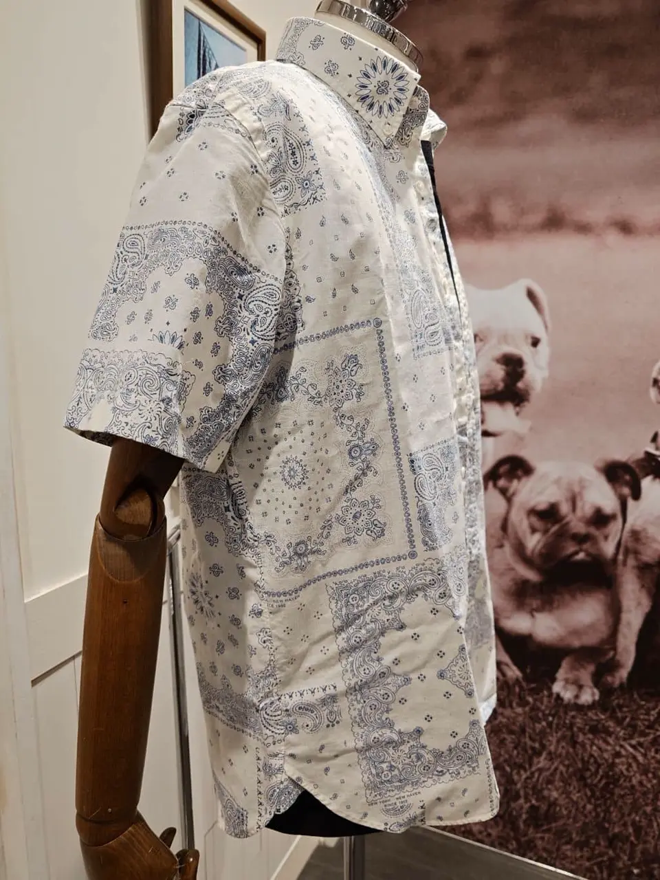 J.PRESS MEN 宇佐 コーディネート画像