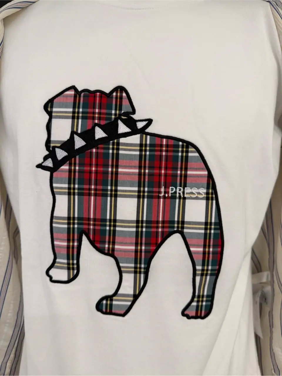 J.PRESS MEN 髙橋 コーディネート画像