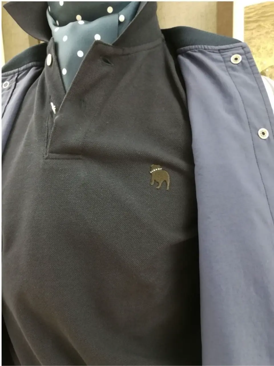 J.PRESS MEN 板橋 コーディネート画像