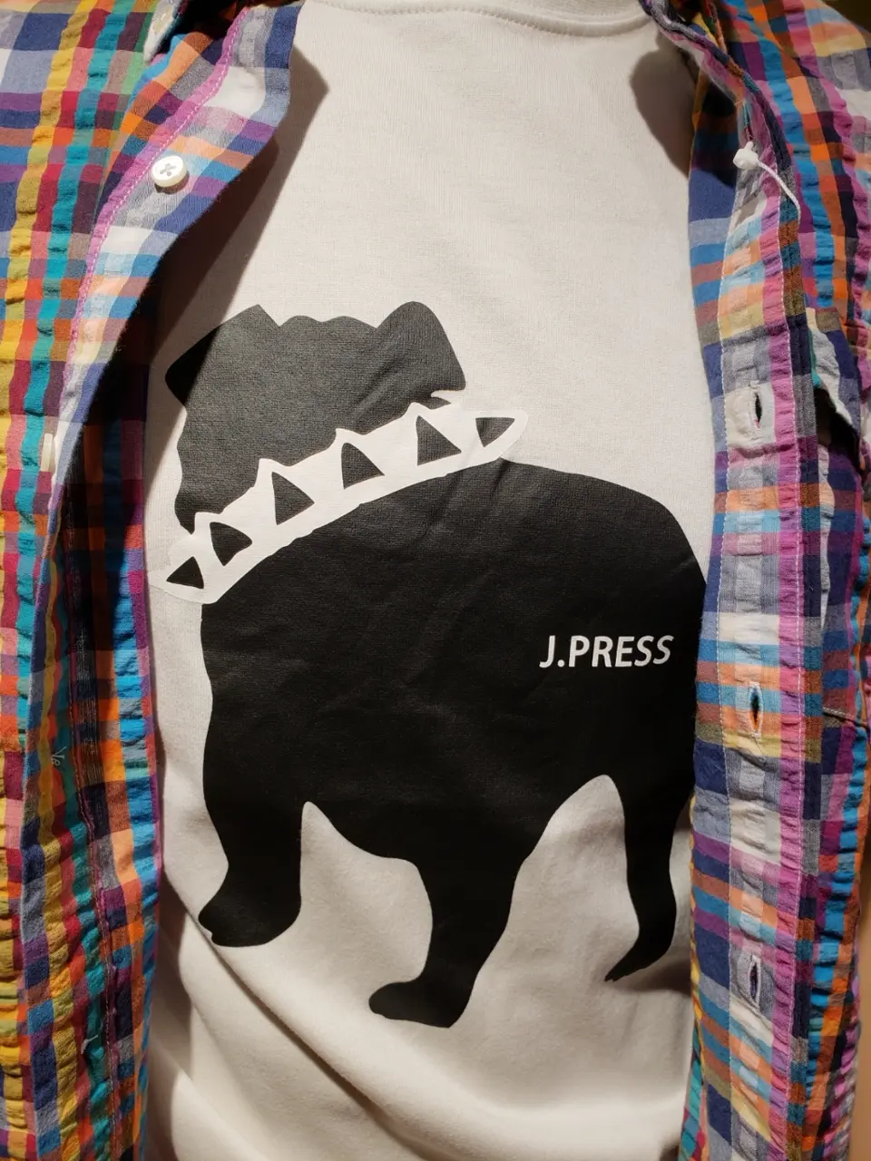 J.PRESS MEN 橋場 コーディネート画像