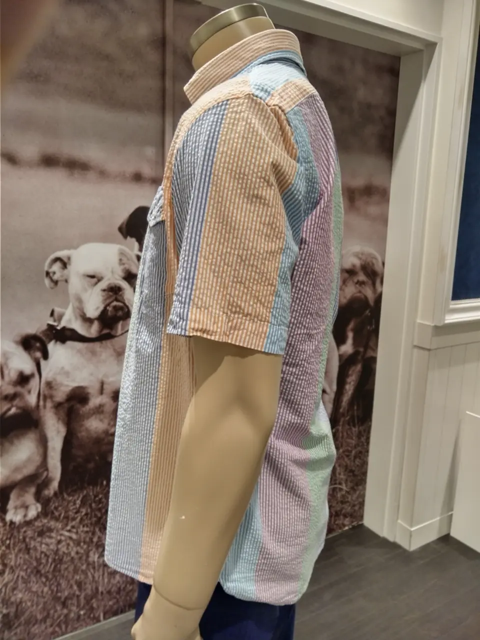 J.PRESS MEN 渡瀬 コーディネート画像