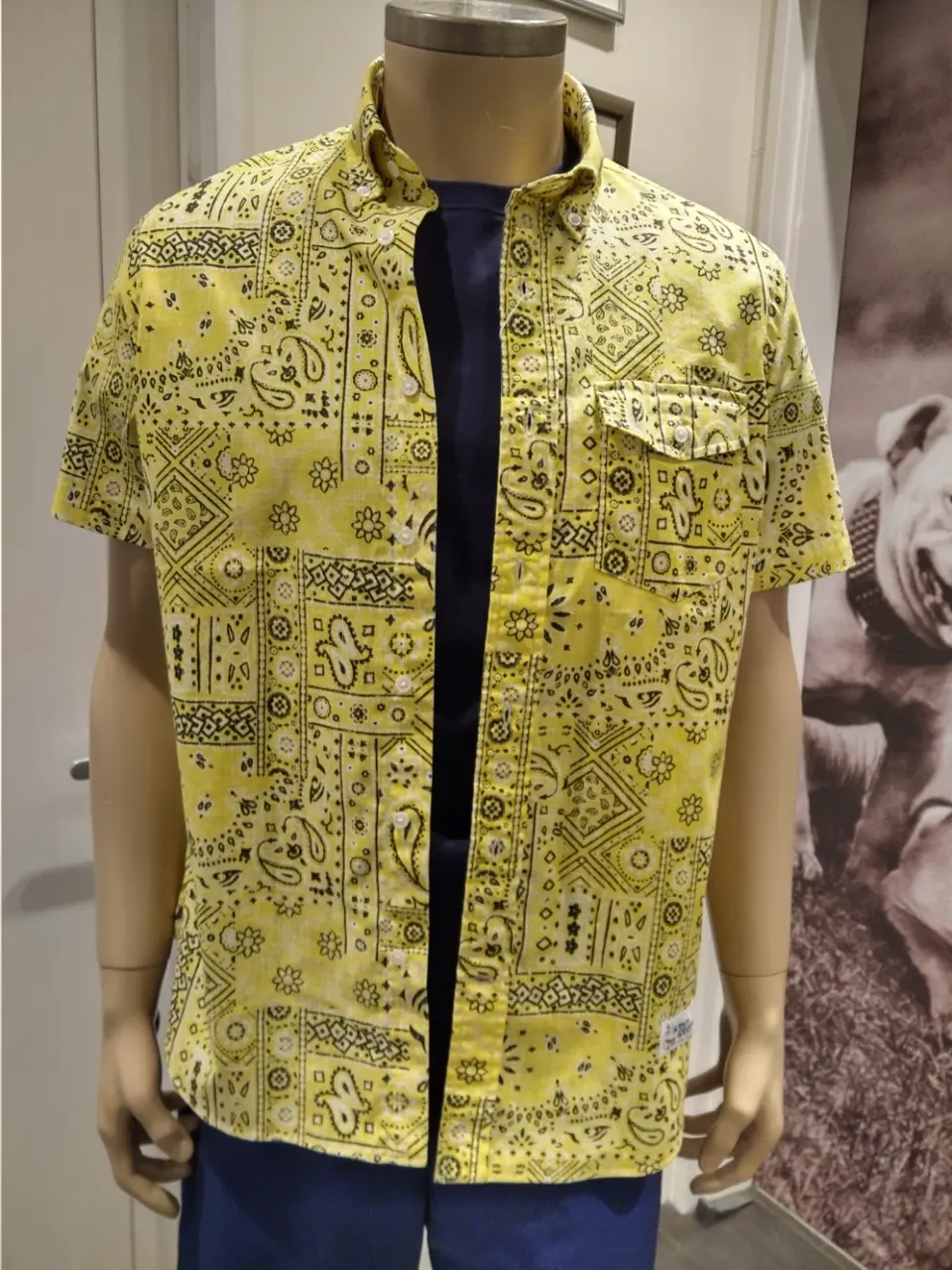 J.PRESS MEN 渡瀬 コーディネート画像