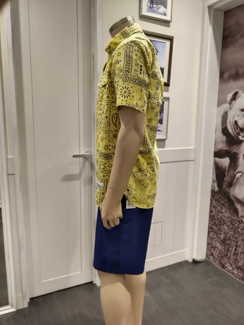 J.PRESS MEN 渡瀬 コーディネート画像