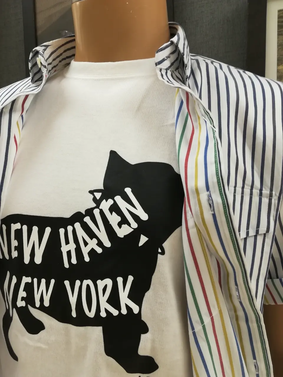 J.PRESS MEN 板橋 コーディネート画像