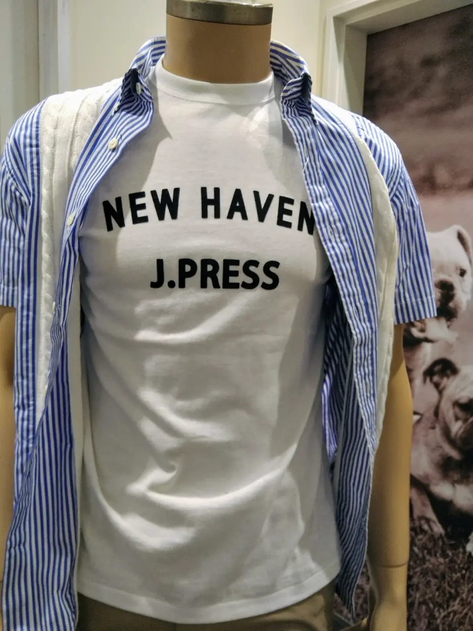 J.PRESS MEN 渡瀬 コーディネート画像