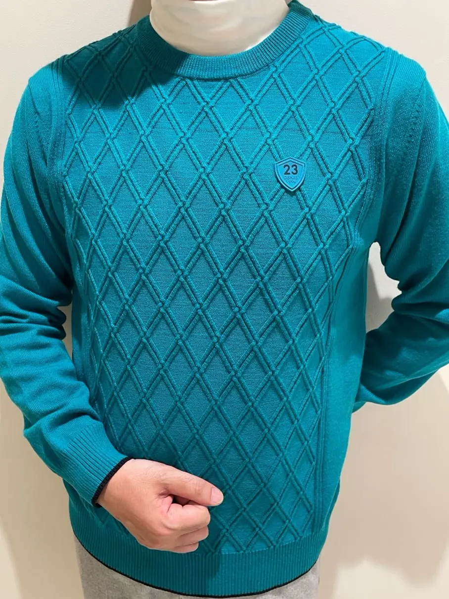 23区GOLF 藤田 コーディネート画像