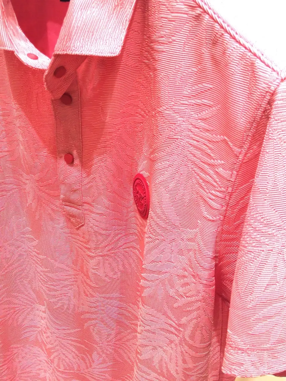 23区GOLF 加藤 コーディネート画像