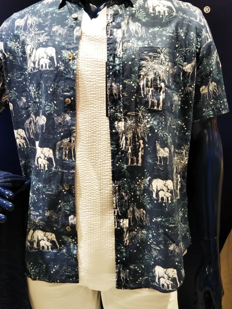 JOSEPH ABBOUD 鈴木 コーディネート画像