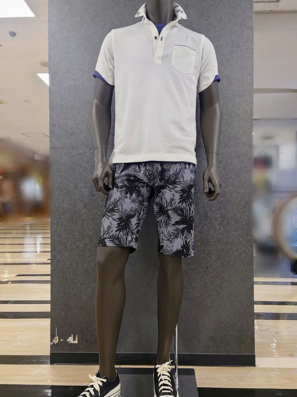  石川 コーディネート画像