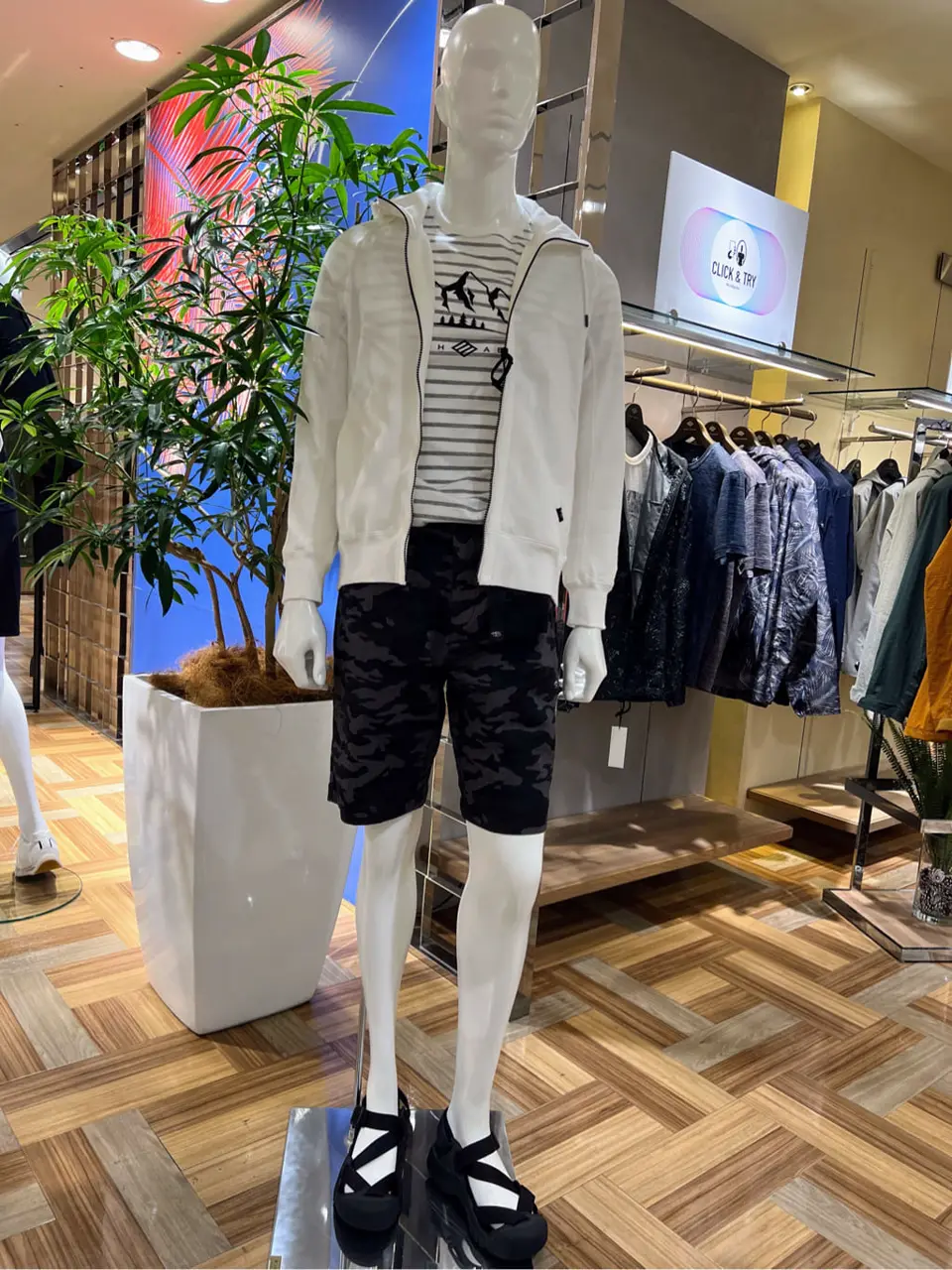  森部 コーディネート画像