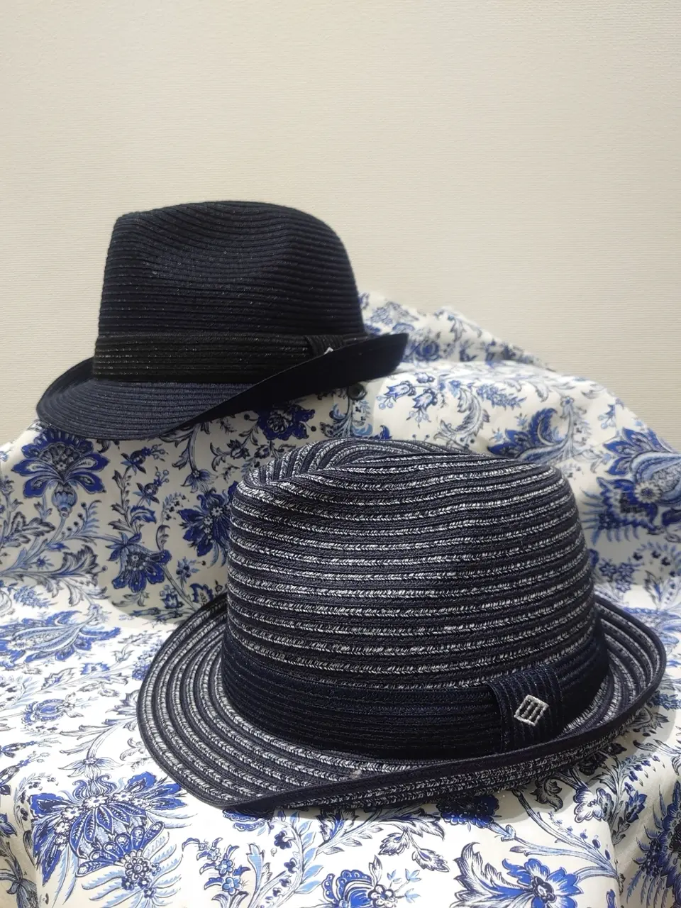  石川 コーディネート画像