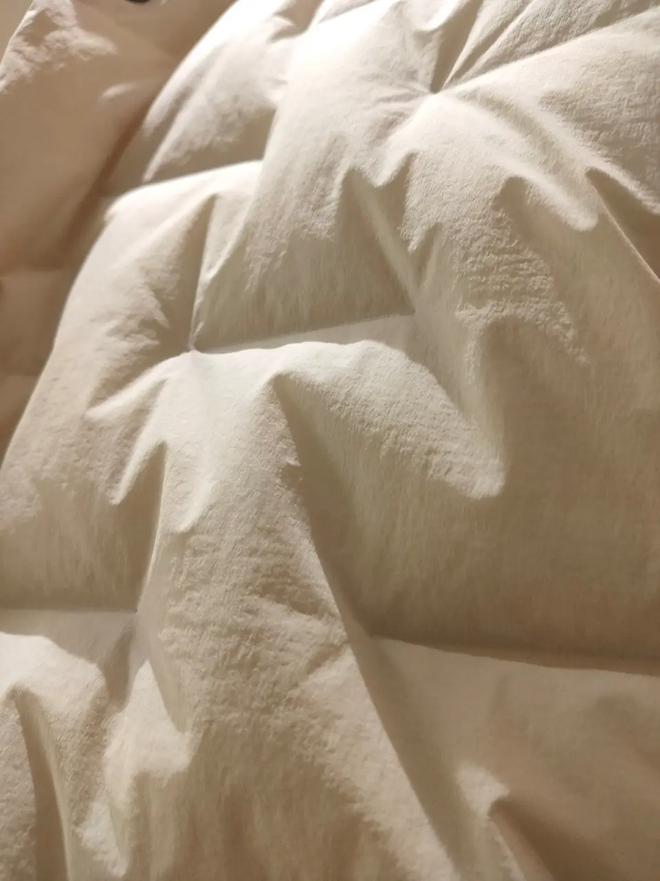 JOSEPH ABBOUD 袋地 コーディネート画像