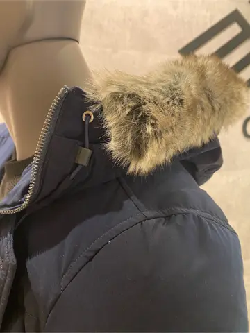 JOSEPH ABBOUD 東　 コーディネート画像