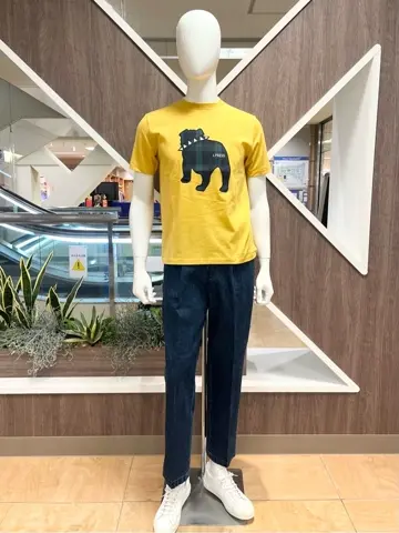 ONWARD CROSSET SELECT 小管 コーディネート画像