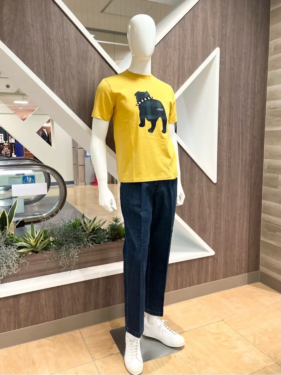 ONWARD CROSSET SELECT 小管 コーディネート画像