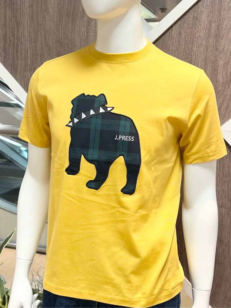 ONWARD CROSSET SELECT 小管 コーディネート画像