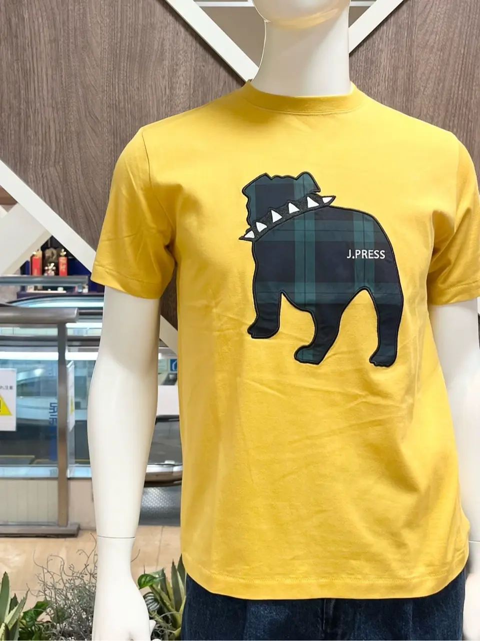 ONWARD CROSSET SELECT 小管 コーディネート画像