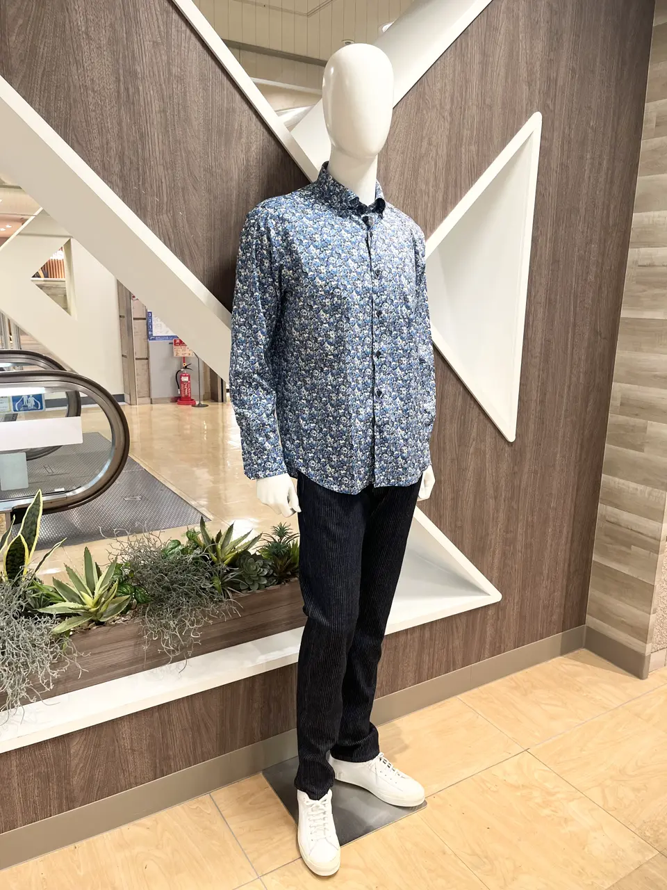 ONWARD CROSSET SELECT 小管 コーディネート画像