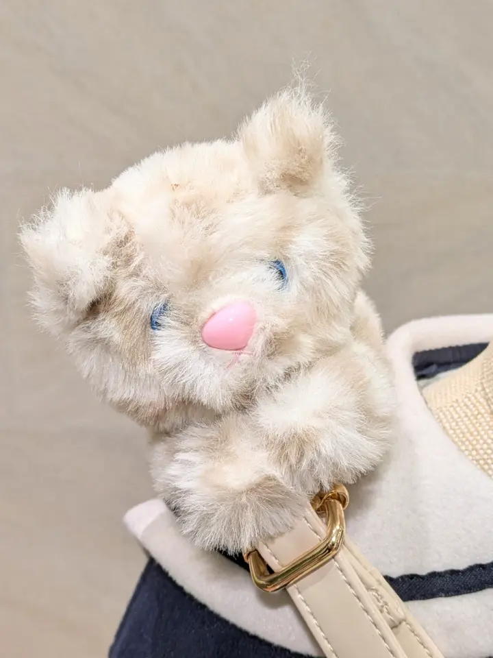 ONWARD CROSSET SELECT 永谷 コーディネート画像