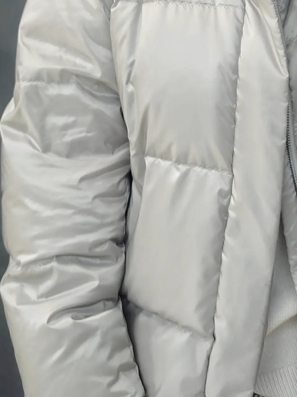 ONWARD CROSSET SELECT 森 コーディネート画像