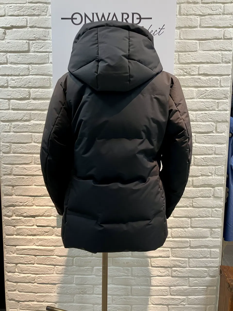 ONWARD CROSSET SELECT 斉藤 コーディネート画像