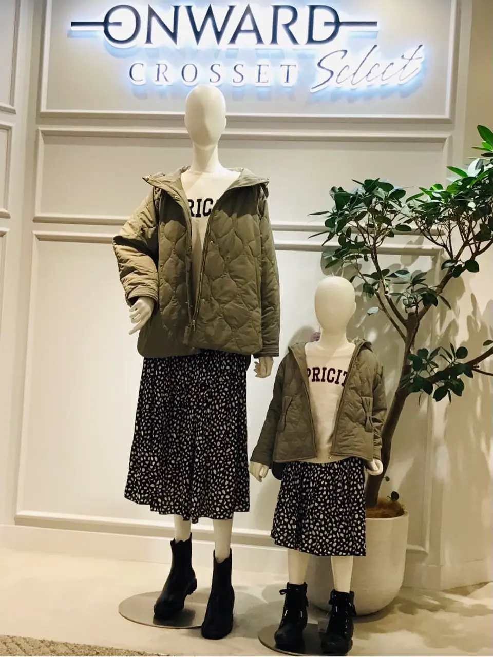 ONWARD CROSSET SELECT 関 コーディネート画像