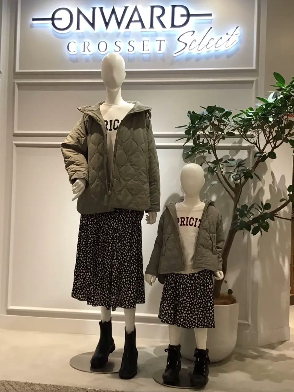 ONWARD CROSSET SELECT 関 コーディネート画像