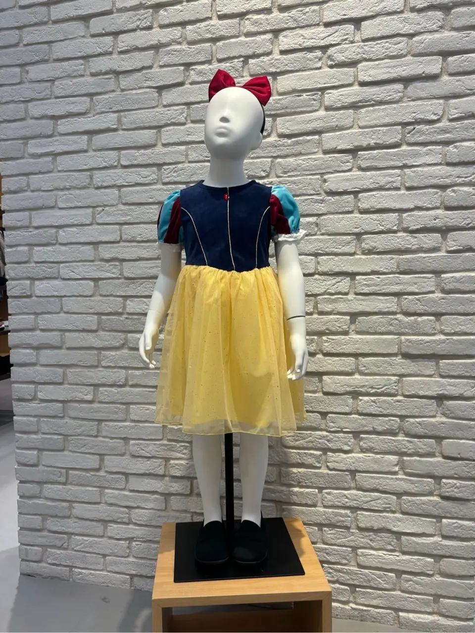 ONWARD CROSSET SELECT 新崎　 コーディネート画像