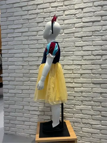 ONWARD CROSSET SELECT 新崎　 コーディネート画像