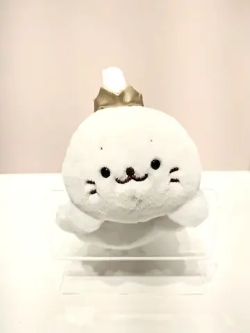 ONWARD CROSSET SELECT 川上 コーディネート画像