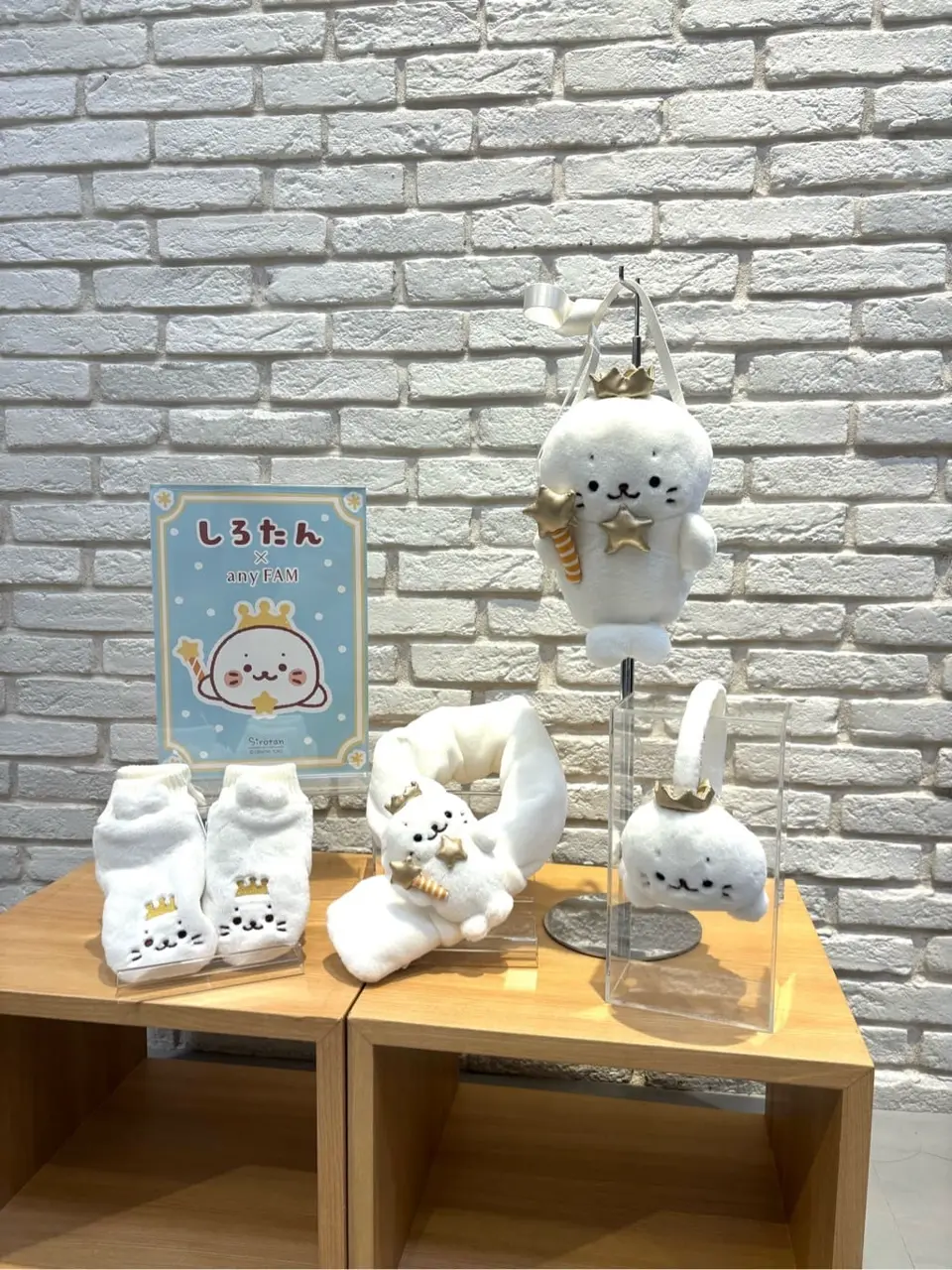 ONWARD CROSSET SELECT 新崎　 コーディネート画像