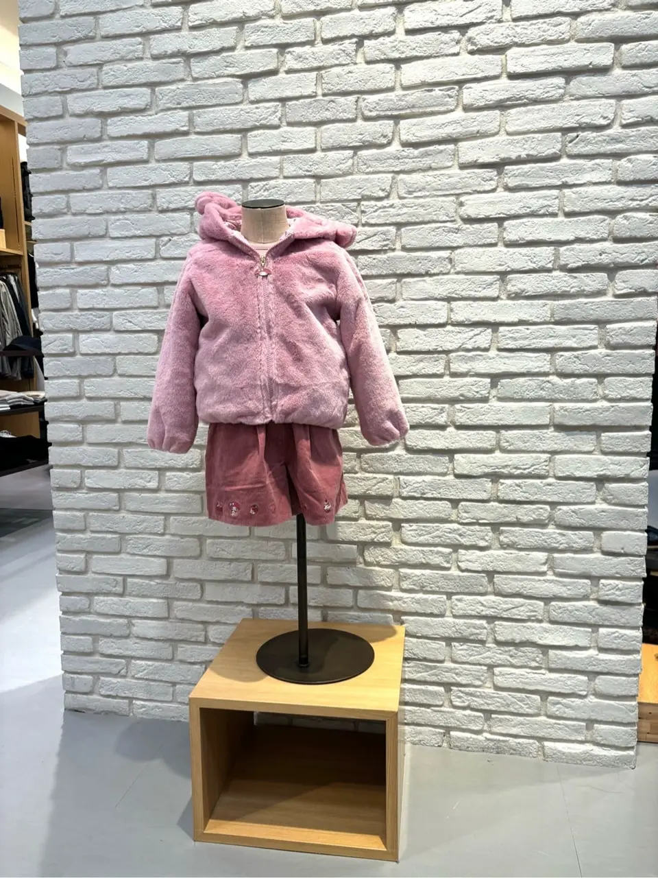 ONWARD CROSSET SELECT 新崎　 コーディネート画像