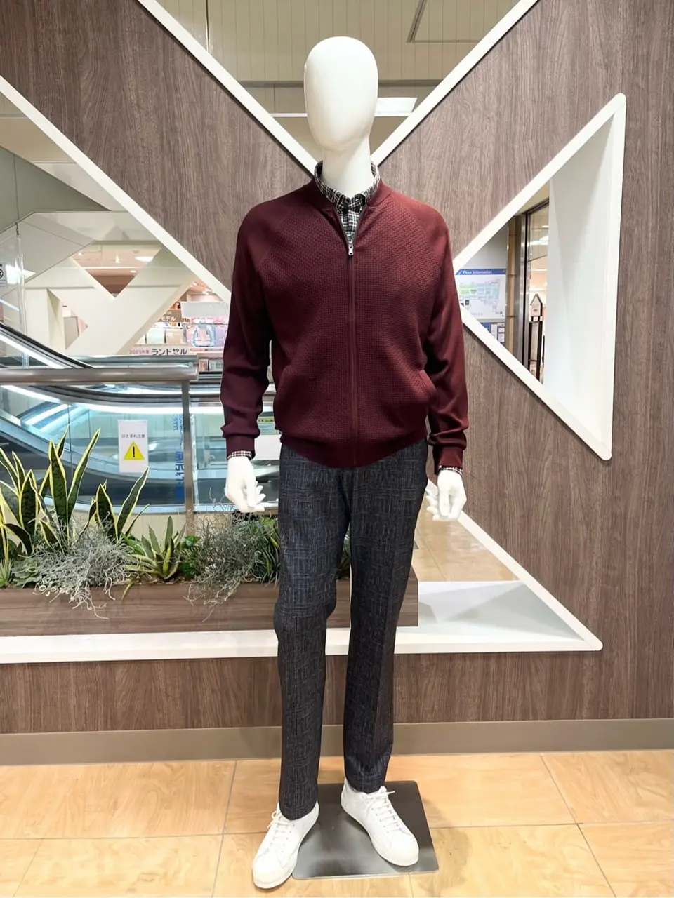 ONWARD CROSSET SELECT 小管 コーディネート画像