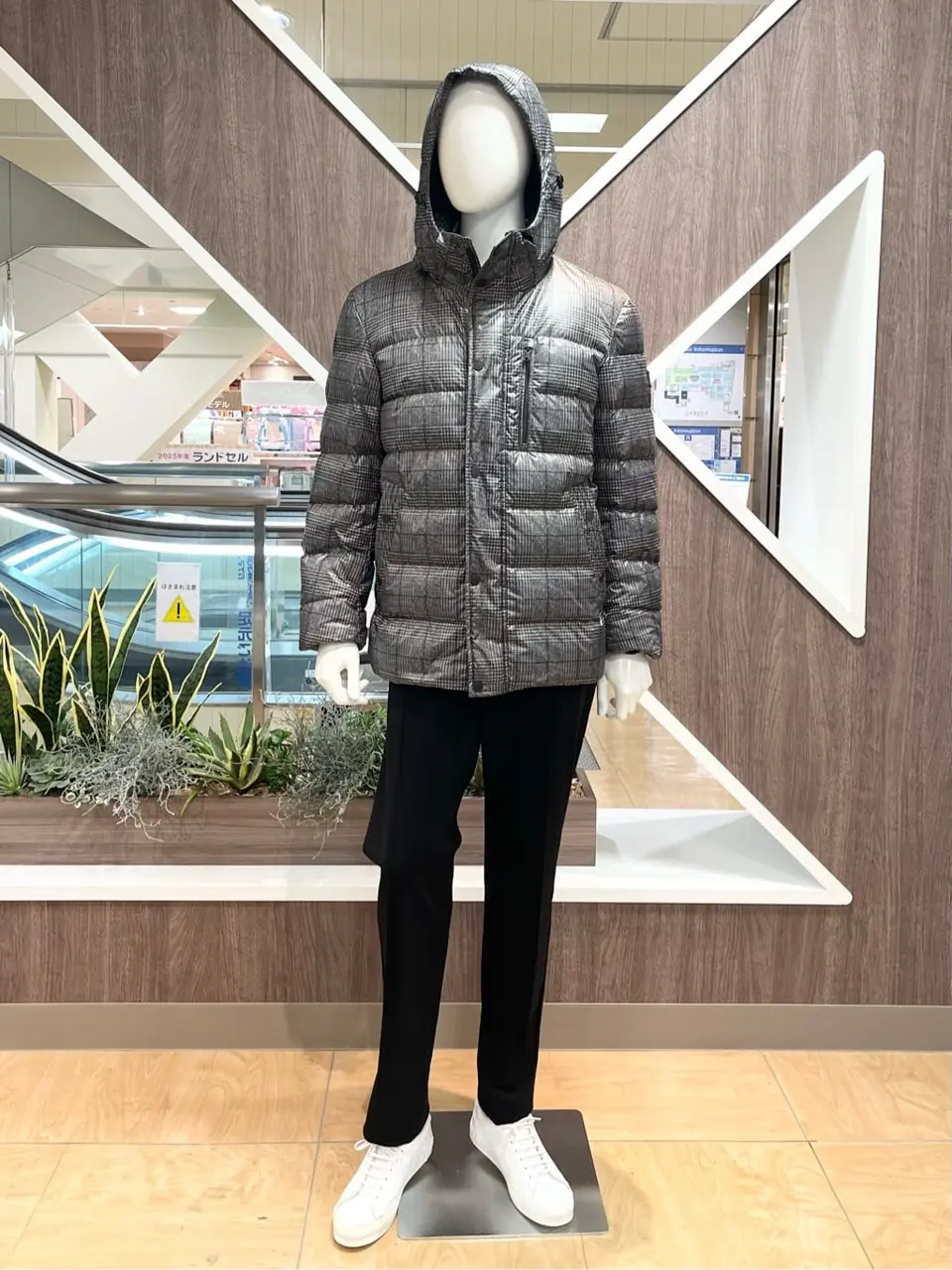 ONWARD CROSSET SELECT 小管 コーディネート画像