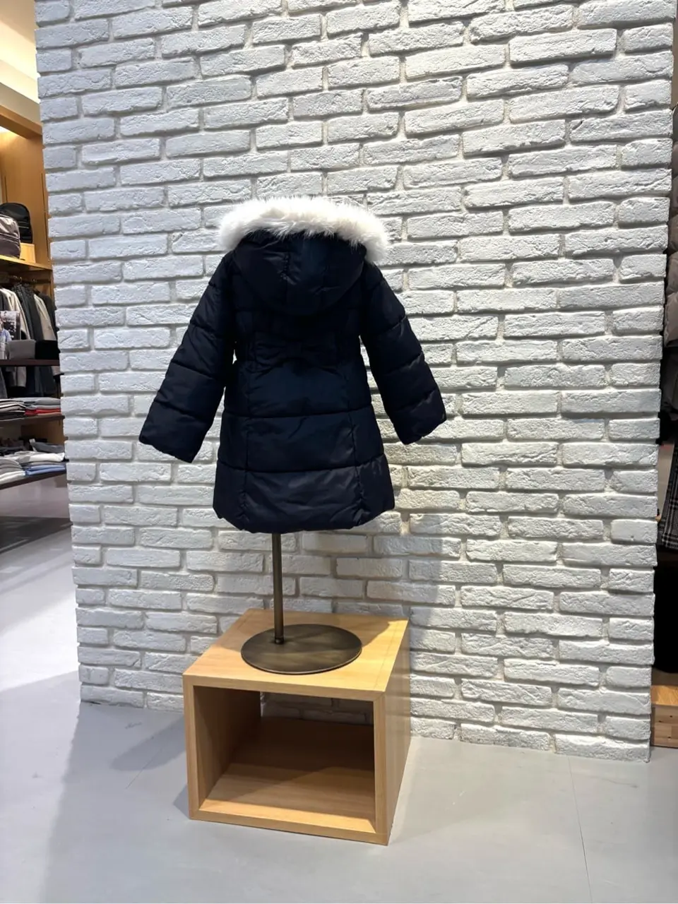 ONWARD CROSSET SELECT 新崎　 コーディネート画像