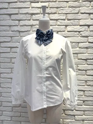 ONWARD CROSSET SELECT 新崎　 コーディネート画像