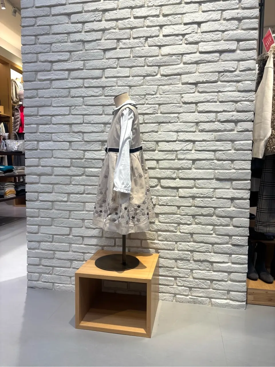 ONWARD CROSSET SELECT 新崎　 コーディネート画像