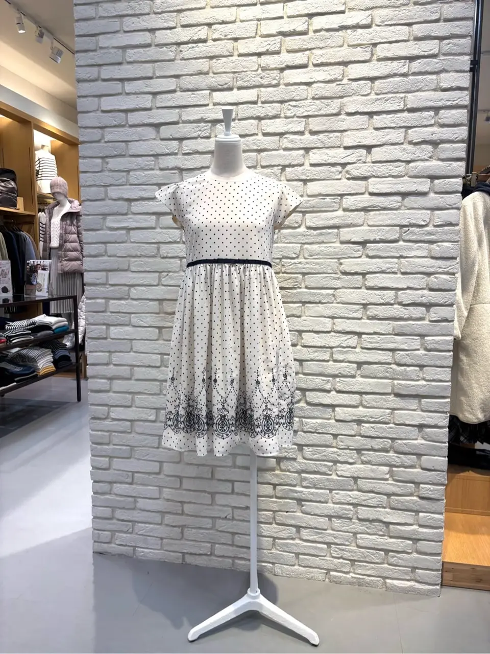  新崎　 コーディネート画像