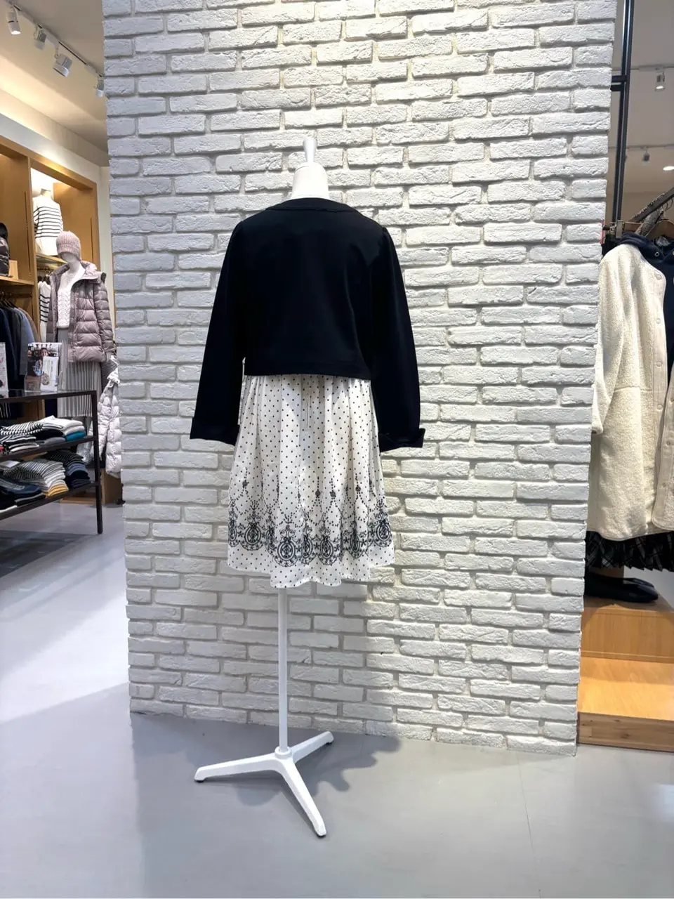 ONWARD CROSSET SELECT 新崎　 コーディネート画像