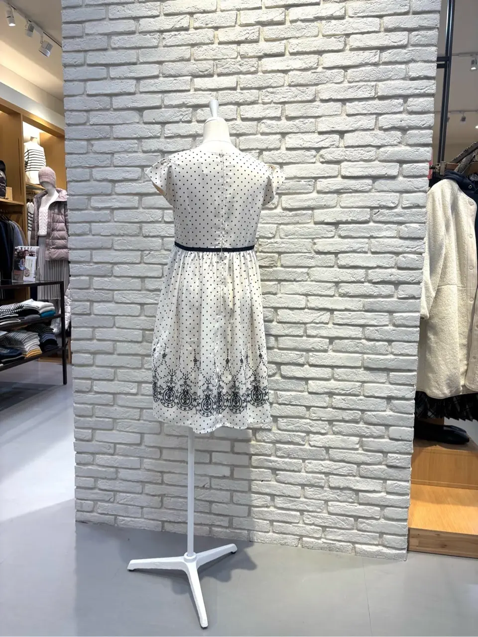 ONWARD CROSSET SELECT 新崎　 コーディネート画像