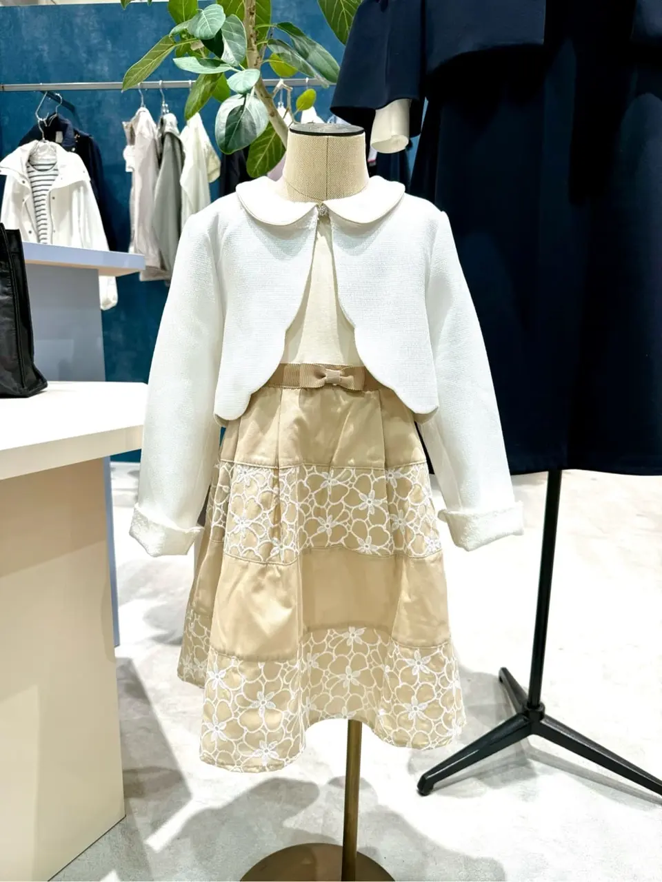 ONWARD CROSSET SELECT 杉原 コーディネート画像