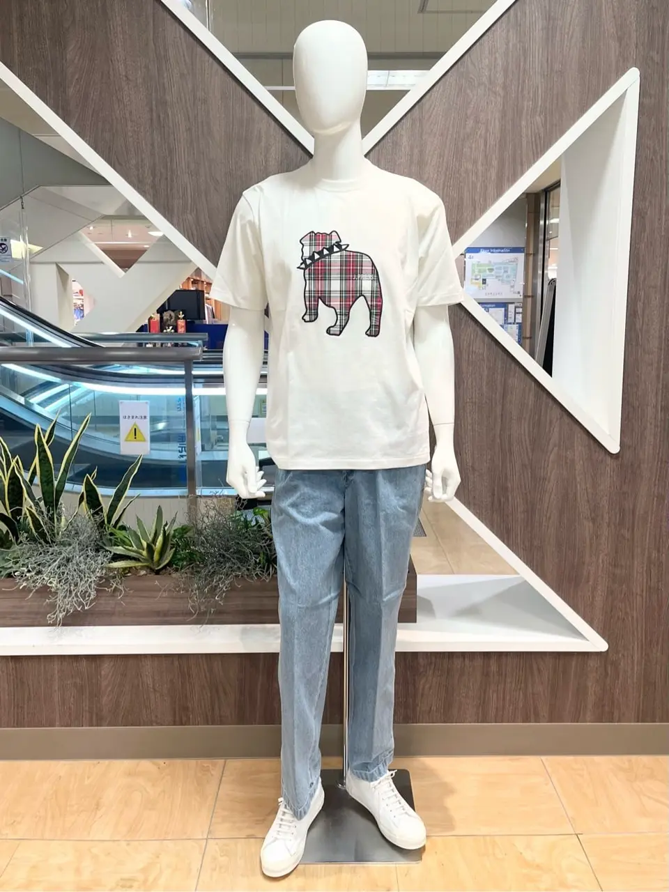 ONWARD CROSSET SELECT 小管 コーディネート画像