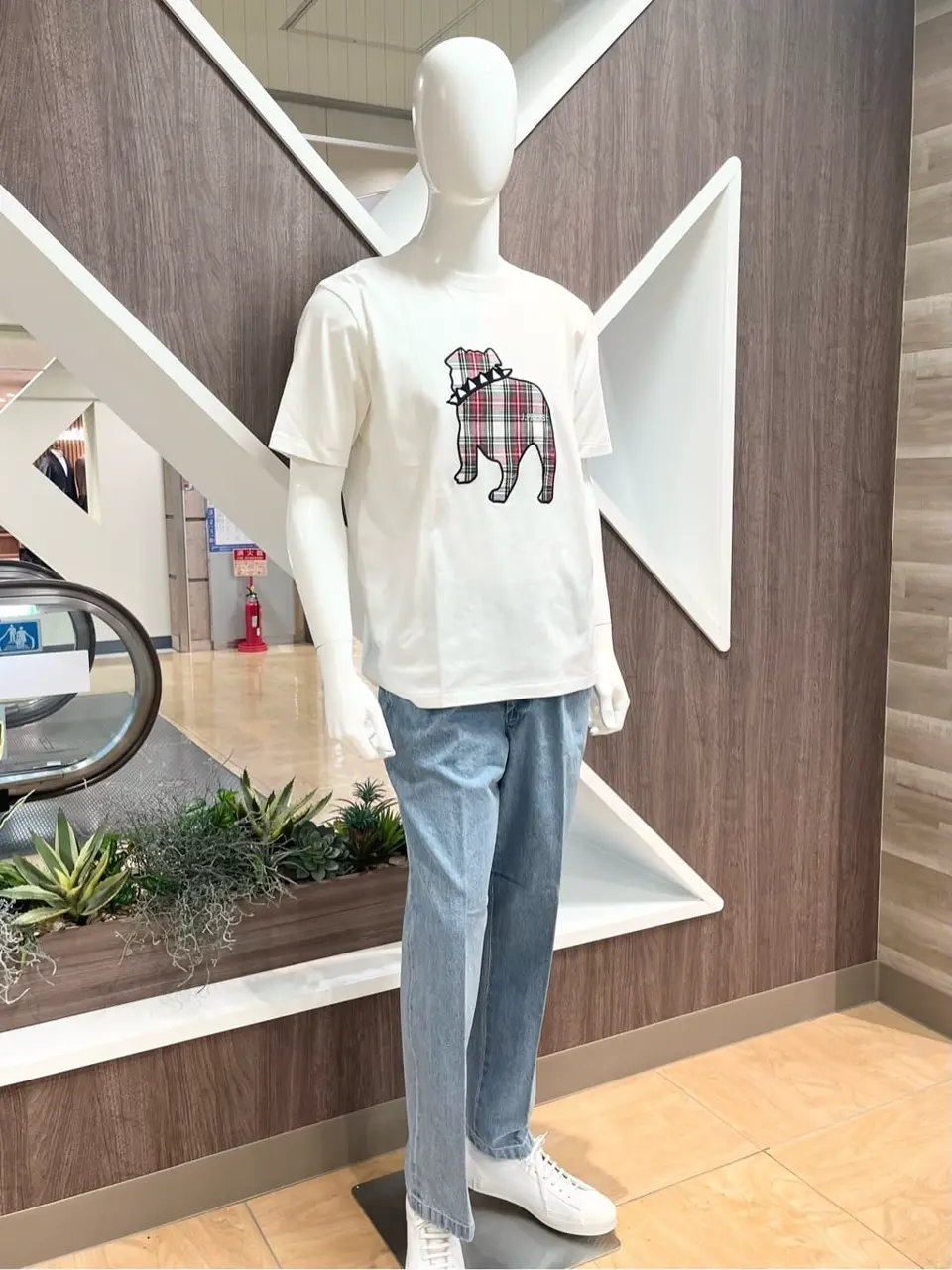 ONWARD CROSSET SELECT 小管 コーディネート画像