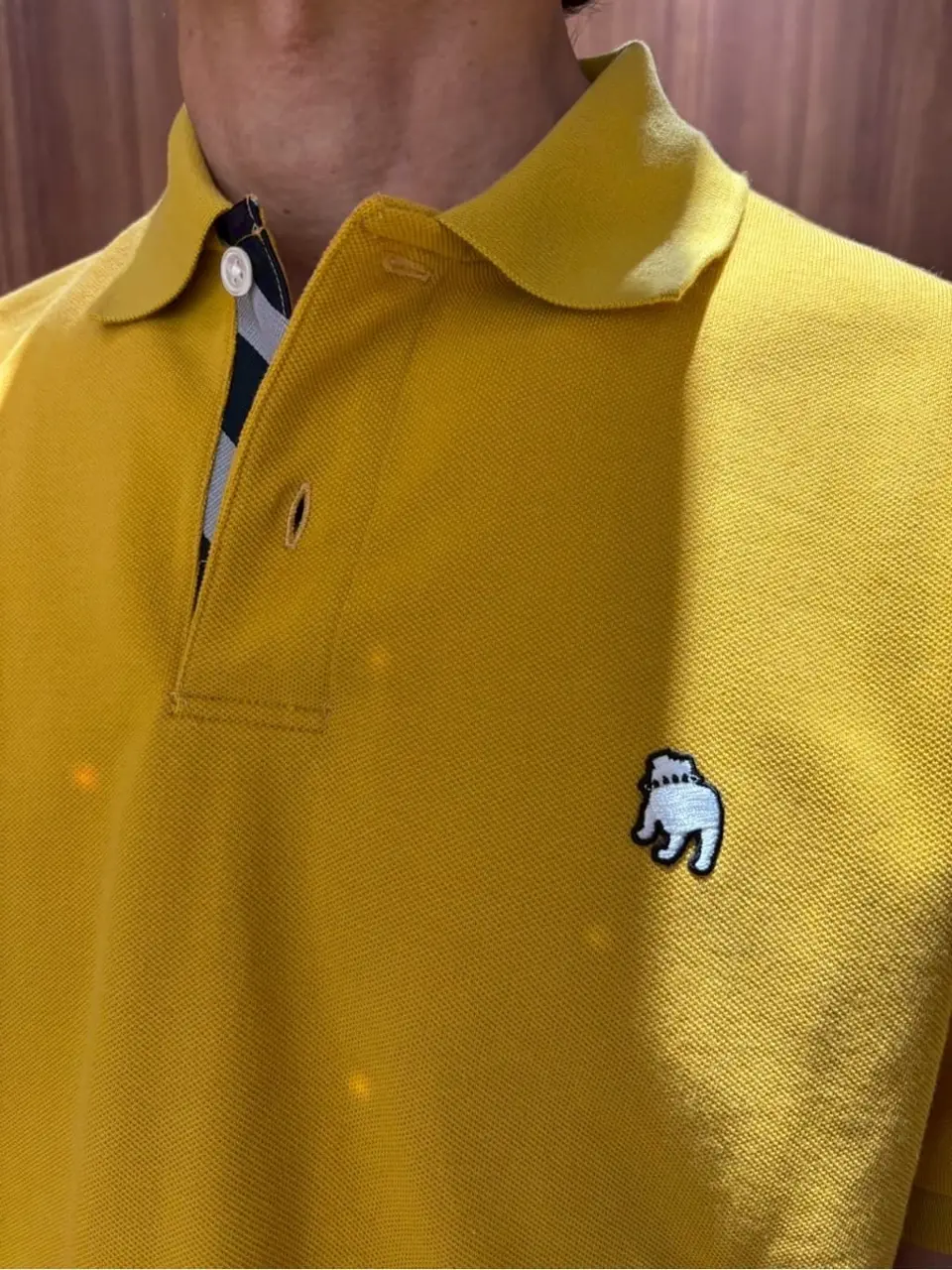 ONWARD CROSSET SELECT 飯嶋 コーディネート画像