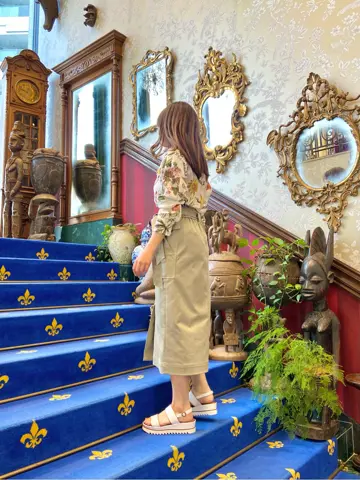 GRACE CONTINENTAL Yume コーディネート画像