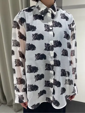 GRACE CONTINENTAL Abe コーディネート画像