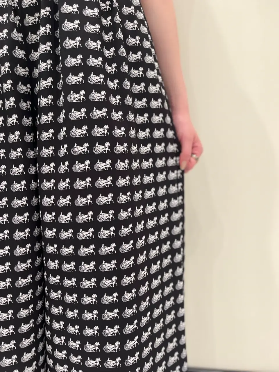 GRACE CONTINENTAL Hotei コーディネート画像