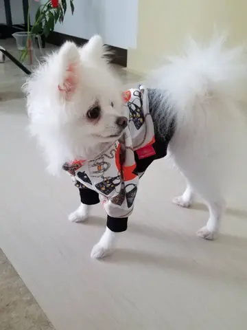 GRACE CONTINENTAL 青木育日 コーディネート画像